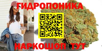 не бодяженный Камышлов
