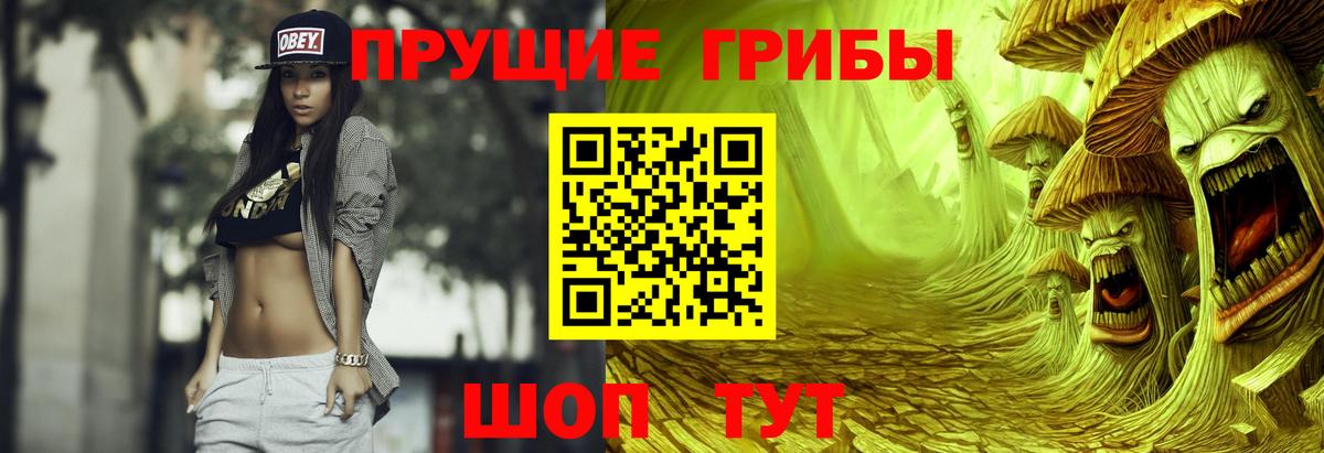 Псилоцибиновые грибы Psilocybine cubensis Ленинск-Кузнецкий